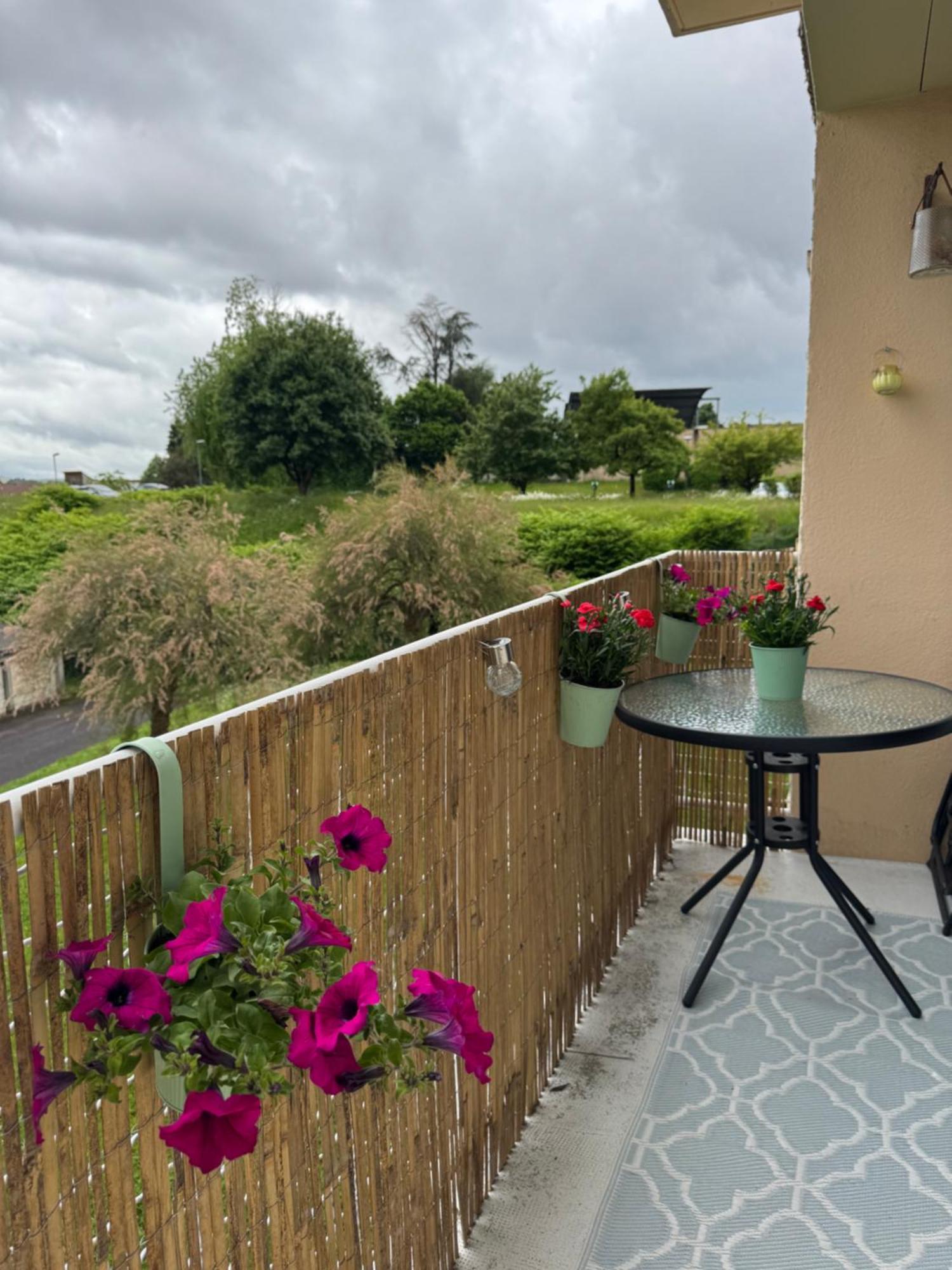 Appartement Chaleureux Et Spacieux T3 Limoges Eksteriør bilde